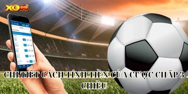 Chi tiết cách tính tiền của Cược Chấp 3 Chiều